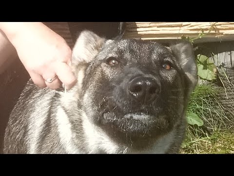 Tara z Jukasu revíruje stožár vn