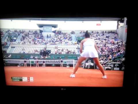 Cepedes Royg vs Pliskova