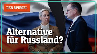 Weidel vs. Chrupalla: Zerlegt sich die AfD im Russlandstreit? – Shortcut | DER SPIEGEL