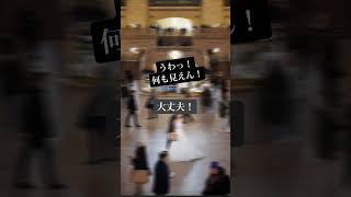 ⭐️🎁ボーナスプレゼント🎁⭐️「心をグッとつかむ」写真を撮るための無料PDF配布中！プロフィールリンクからどうぞ！