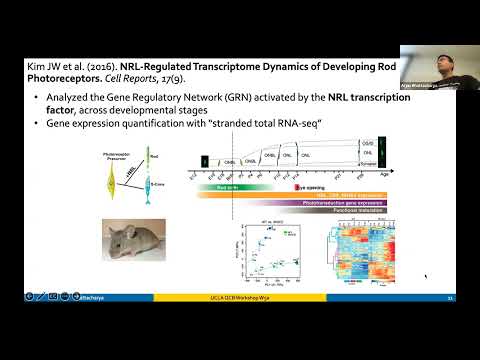 W5a: RNA-seq I Analysis - Day 1