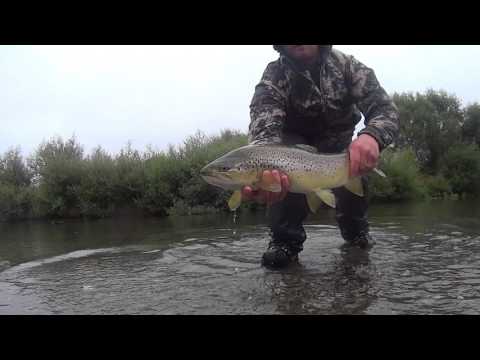 Fly Fishing Small Stream NZ