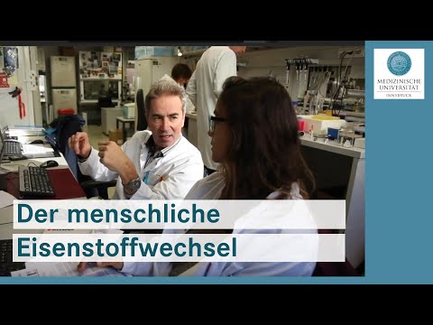 Der menschliche Eisenstoffwechsel
