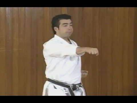 Karate - Oizuki &amp; Gyakuzuki - Lunge Punch  &amp; Reverse Punch