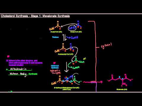 <h1 class=title>Cholesterol Synthesis (Part 2 of 6) - Stage 1: Mevalonate Synthesis</h1>