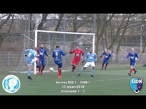 Samenvatting Hermes-D.V.S. 1 - CION 1