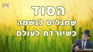 מרתק! מהו הסוד שמגלים לנשמה לפני ירידתה לעולם? מאת הגאון הרב יחזקאל צמח שליט"א