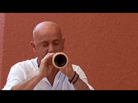 Jabadao   Henaff – Meunier  Plume de Paon  Quimper 24 Juillet 2021