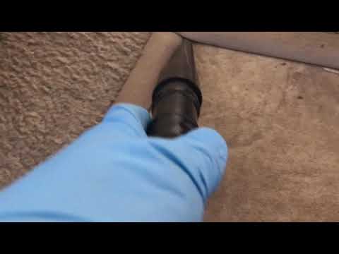 Vacant Apartment Full of Bed Bugs in Long Branch, NJ