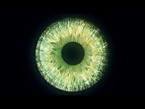 olhos verdes como uma esmeralda (FORÇADO)