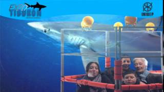 DIA 2 Expo Tiburon243