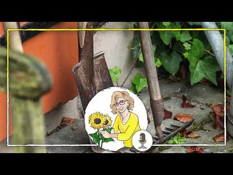 Werkzeuge für den Garten – Welche Geräte brauche ich wirklich?