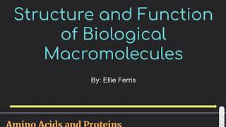 Structure and function of Biological Macromolecules