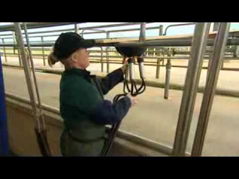 Attaching cups   'Round the Circle'