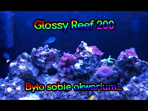 (112)  Glossy Reef 200 / Koniec pewnego etapu - Akwarium morskie - Reef aquarium