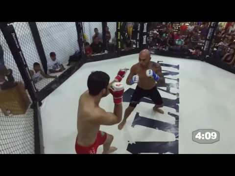 Vinicius Spartacus Silva - MMA Highlights 2017