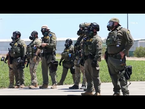 Congresswoman Brownley Speaks on Recent Immigration Enforcement Operations in Ventura County