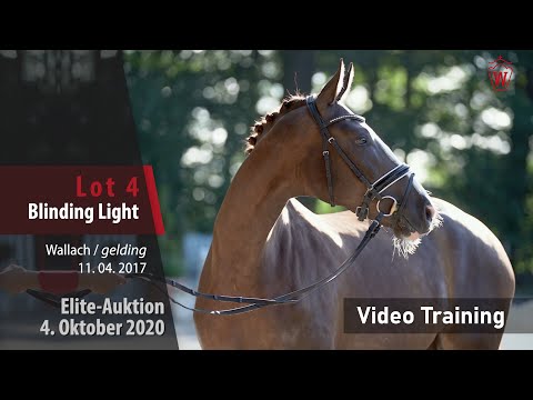 Elite-Auktion 4. Oktober 2020 Lot 4 Blinding Light v. Benicio/Laudabilis  – Trainingsvideo