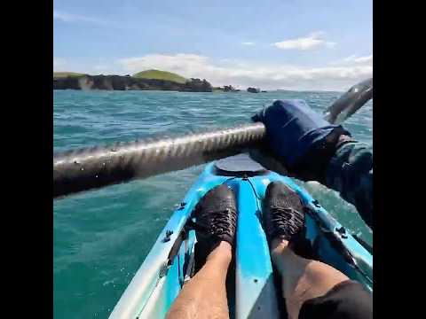 Browns island paddle #kayak #islandhopping #volcanoisland #newzealand