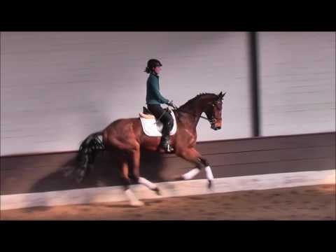 ESPEN 5j Wall. v. Edward - Conteur VB 15.000,- Euro -for sale-