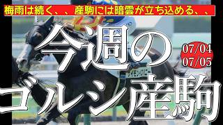 今週のゴールドシップ産駒 (07/04,05)【梅雨は続く産駒には暗雲が／サイモンイロハニー,コスモアチーブほか】