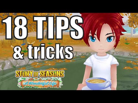 USEFUL Tips I WISH I KNEW when starting Story of Seasons: A Wonderful Life