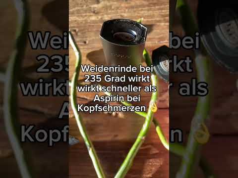 #kopfschmerzen #aspirin #weidenrinde #heilpflanzen #verdampfen #vaporizer #schmerzen #schmerzfrei