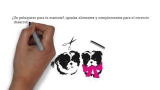 Clínica veterinaria Coslada y San Fernando de Henares 91 200 49 07