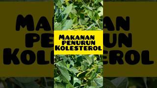 Download lagu makanan penurun kolesterol #edukasi #tips mp3
