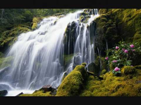 EL VIDEO MAS HERMOSO...