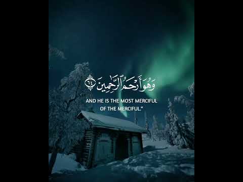 Beautiful Relaxing Quran Recitation Quran Lofi Reciter Omar Hisham Al Arabi