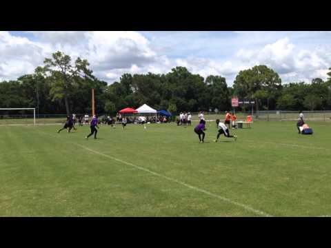 7v7 Sarasota, FL