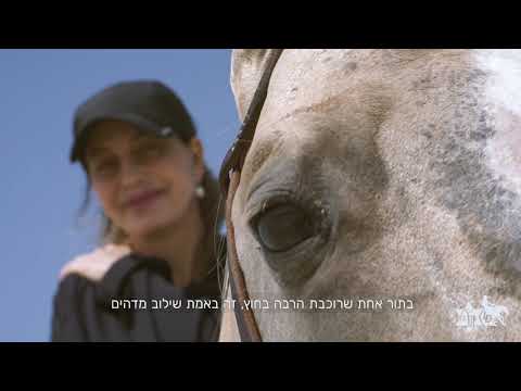 תמונה של LD Training