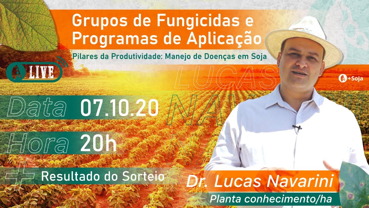 Grupos de fungicidas e programas de aplicação