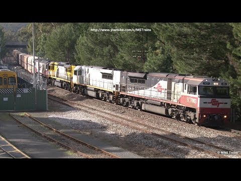 White & Progress Rail livery LDPs on MP9: Adelaide Hills Rail Movements