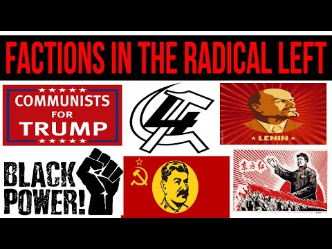 Factions in the Radical Left and Dissident Online Politics
