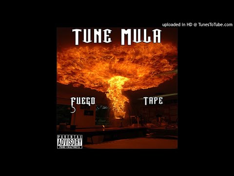 T~M. Tune Mula - Feel Me (F)