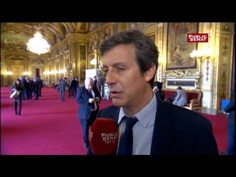 David Assouline: "Each senator feels fully concerned"