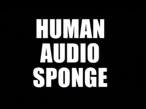 HAS (YMO) LIVE at 2004