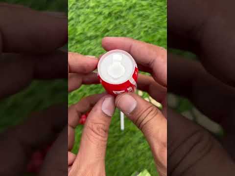 NOOO 😛 #putyourtongueaway #cutepenguin #adorableanimals