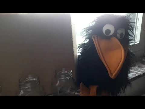 Experminente - Irgendwas mit Essig