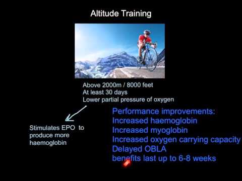 Altitude Training