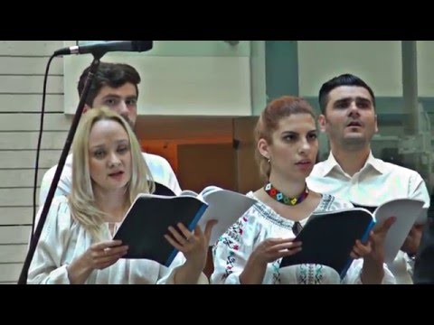 Corul Canticum - Păpărugă - N. Ursu