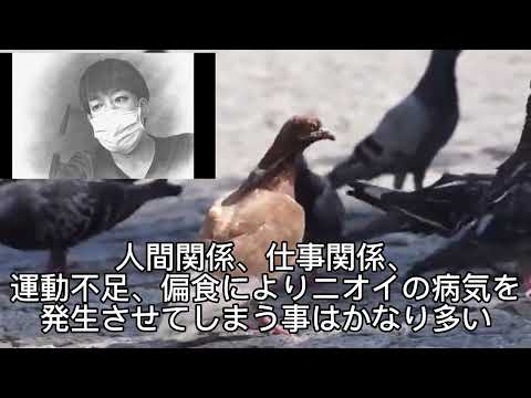 トリメチルアミン