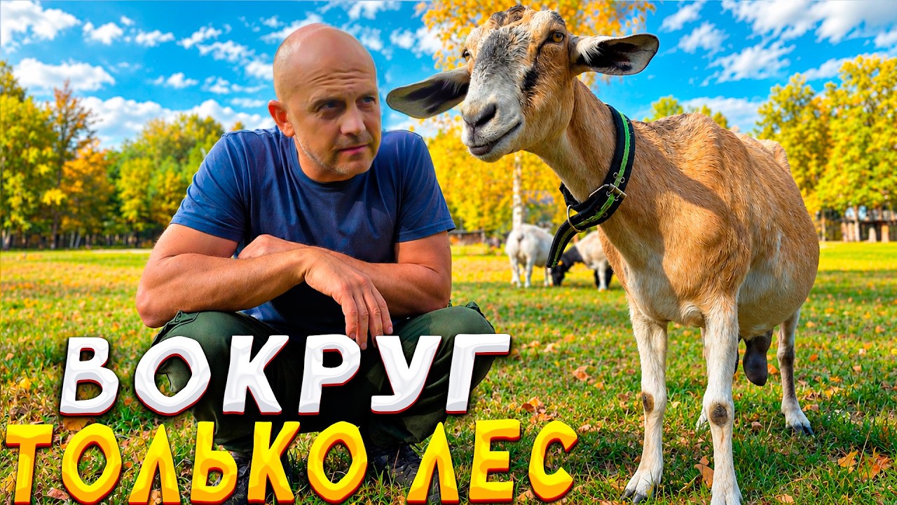 Жизнь на два хутора. Битва за яйца с павлинихой. Наводим порядки. Астраханска