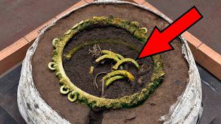25 Most Amazing Archaeological Finds