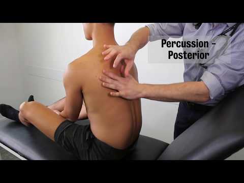 Respiratory Examination - KCL KUMEC