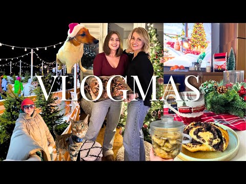 Christmas 2025: open nativity scene | Christmas Eve, family and home relaxation | Vlogmas