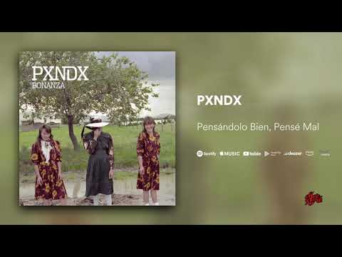 Pensandolo Bien Pense Mal - Panda