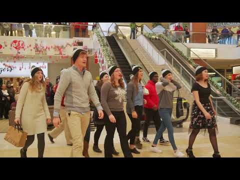 St. Olaf Christmas Festival Pop-Up Performance at Southdale Center